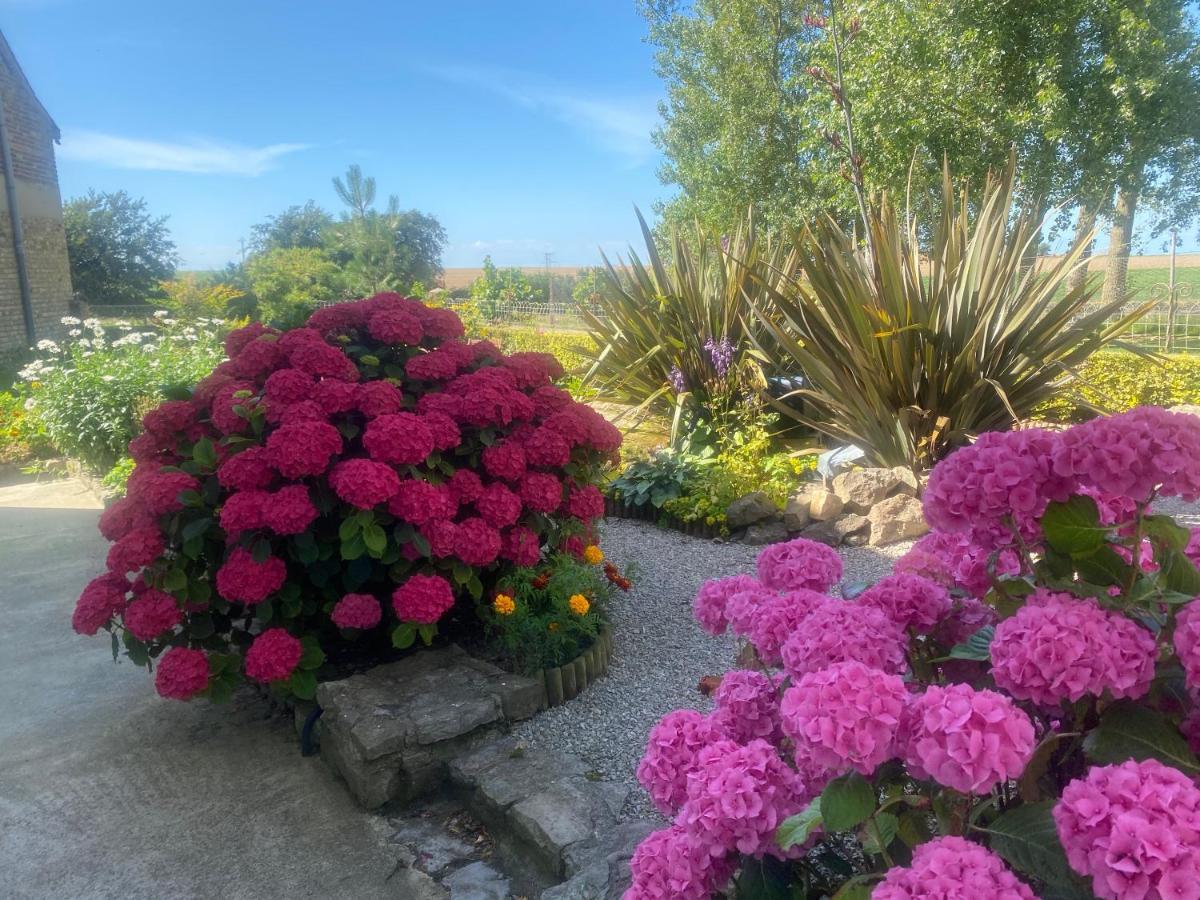 Bed and Breakfast Ferme "Les Flaquettes" Guînes Esterno foto