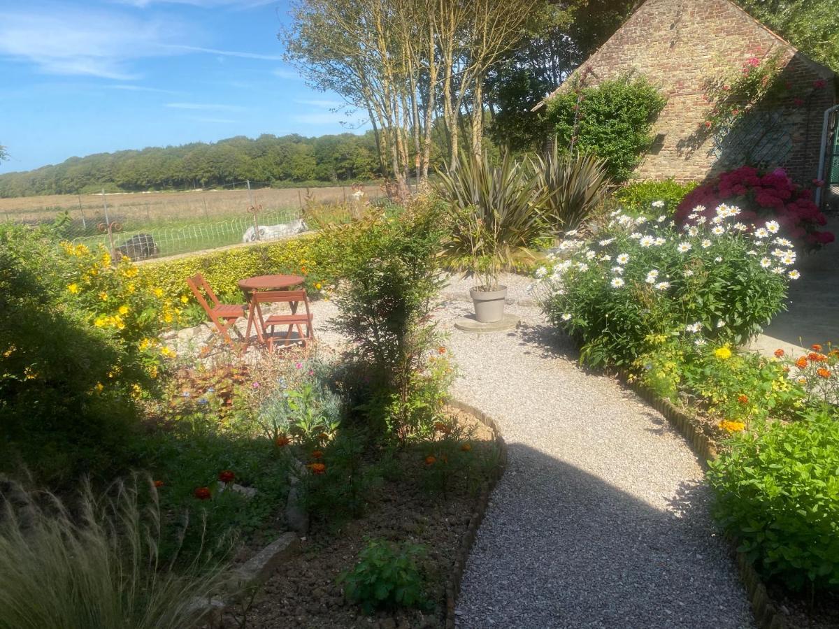 Bed and Breakfast Ferme "Les Flaquettes" Guînes Esterno foto