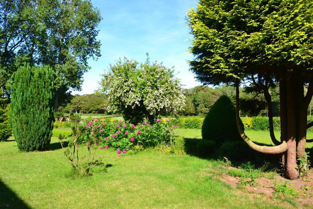 Bed and Breakfast Ferme "Les Flaquettes" Guînes Esterno foto